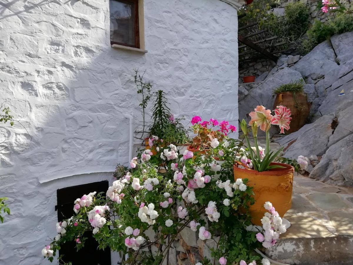 Vila Arbeli House Mandraki  Exteriér fotografie